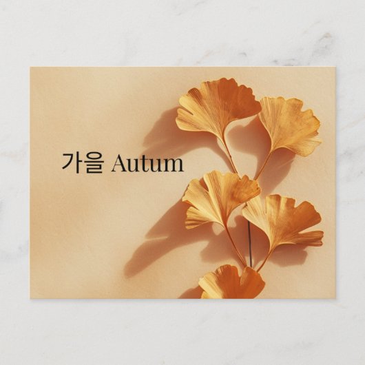 Minimal Ginkgo Autumn Postcard Korean English ポストカード (正面)