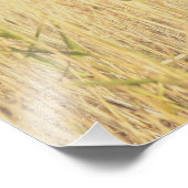 Minimalist Abstract Nature – Calming Wall Art フォトプリント (角)