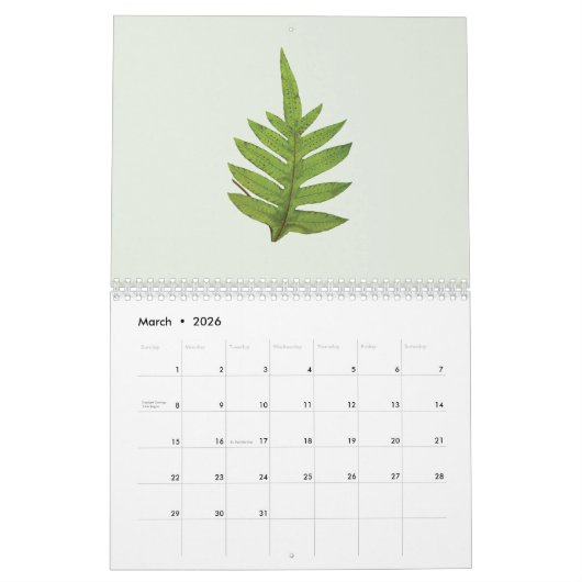 Minimalist Art Botanical 2026 Calendar カレンダー (3月 2026)