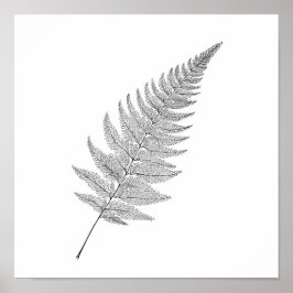 Minimalist Botanical Print: Elegant Fractal Fern ポスター
