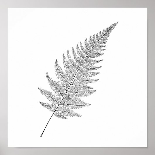 Minimalist Botanical Print: Elegant Fractal Fern ポスター (正面)