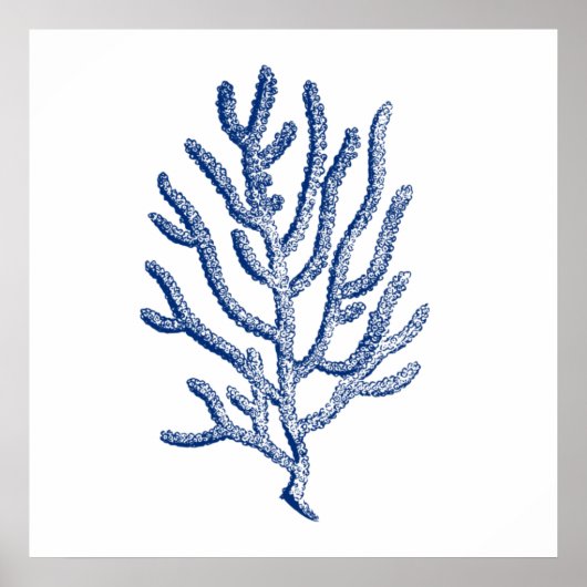 Minimalist Coral in Blue ポスター (正面)