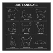 Minimalist Dog Body Language & Behavior Chart ポスター (正面)