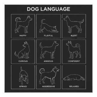 Minimalist Dog Body Language & Behavior Chart ポスター