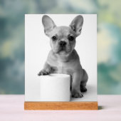 Minimalist Funny French Bulldog Guards ToiletPaper アクリルサイン (ニュートラル)