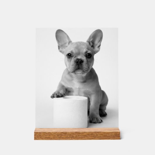 Minimalist Funny French Bulldog Guards ToiletPaper アクリルサイン (正面)