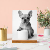 Minimalist Funny French Bulldog Guards ToiletPaper アクリルサイン (ウェディング)