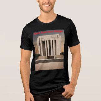 Minimalist Government Center Columns Bella+Canvas トライブレンドTシャツ