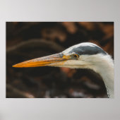 Minimalist Grey Heron Profile Fine Art Print ポスター (正面)
