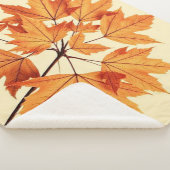 Minimalist Maple Leaves Art – Botanical Print シェルパブランケット (3/4)
