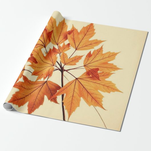 Minimalist Maple Leaves Art – Botanical Print ラッピングペーパー (アンロールド)