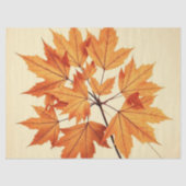 Minimalist Maple Leaves Art – Botanical Print 薄葉紙 (正面)
