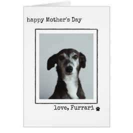 Minimalist Mother's Day Photo Card From the Dog 