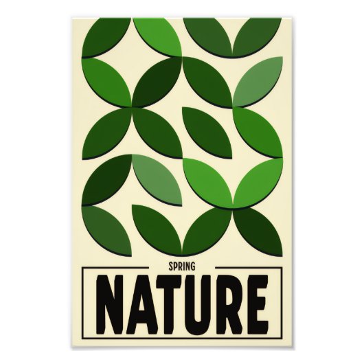 Minimalist Nature Poster – Spring Botanic wall art フォトプリント (正面)