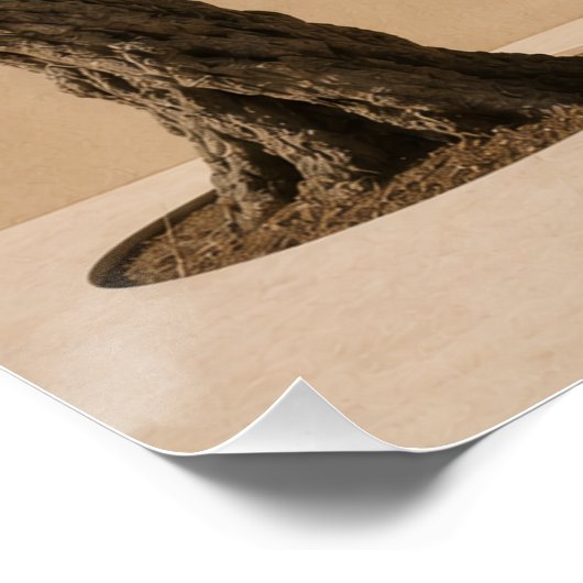 Minimalist Olive Tree Wall Art Poster ポスター (コーナー)