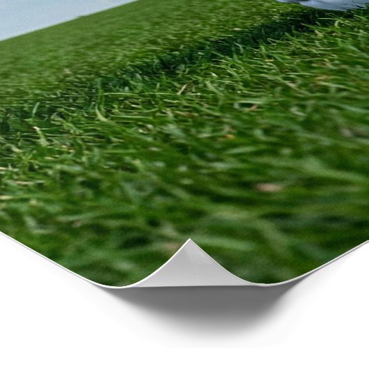 Minimalist Rugby Helmet on Grass ポスター (角)