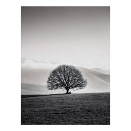 Minimalist Solitary Tree Landscape | Black & White ポスター