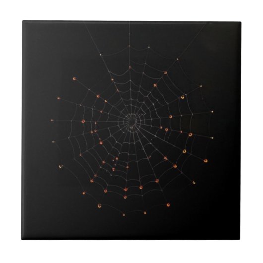 Minimalist Spider Web Halloween Ceramic Tile タイル (正面)