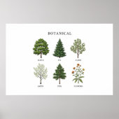 Minimalist Tree Names Poster ポスター (正面)