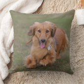 Minitureのダックスフントのランニング クッション (ブランケット)