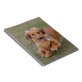 Minitureのダックスフントのランニング ノートブック (右側)