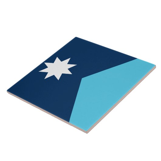 Minnesota Flag Tile タイル (側面)