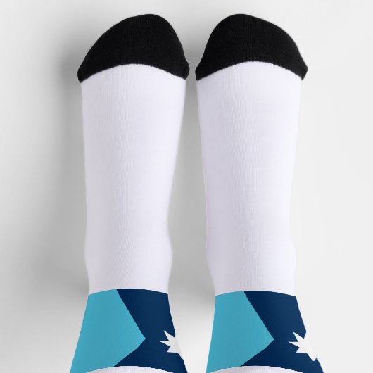 Minnesota State flag ソックス (上部)