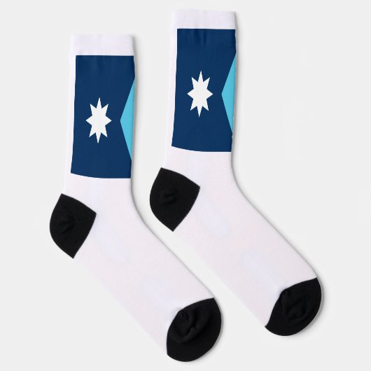 Minnesota State flag ソックス (右)