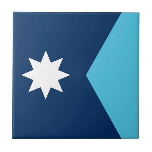 Minnesota state new flag symbol USA America タイル (正面)