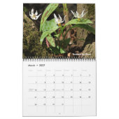 Minnesota State Parks 2026 Calendar カレンダー (3月 2027)