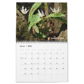 Minnesota State Parks 2026 Calendar カレンダー (3月 2026)