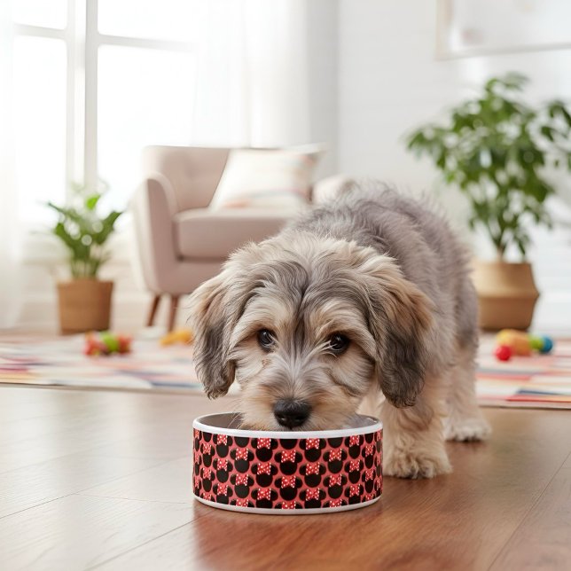 Minni ボウル (クリエイターアップロード済み)