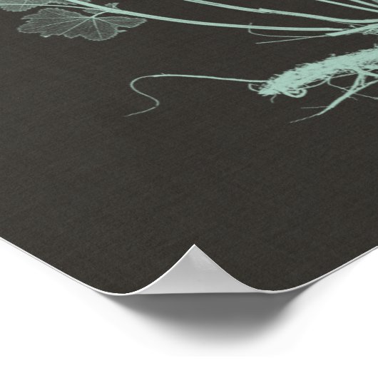 Mint & Charcoal Nature Study I ポスター (角)