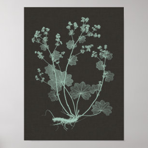 Mint & Charcoal Nature Study I ポスター
