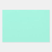 Mint & White Floral Lattice Pattern ラッピングペーパーシート (正面2)