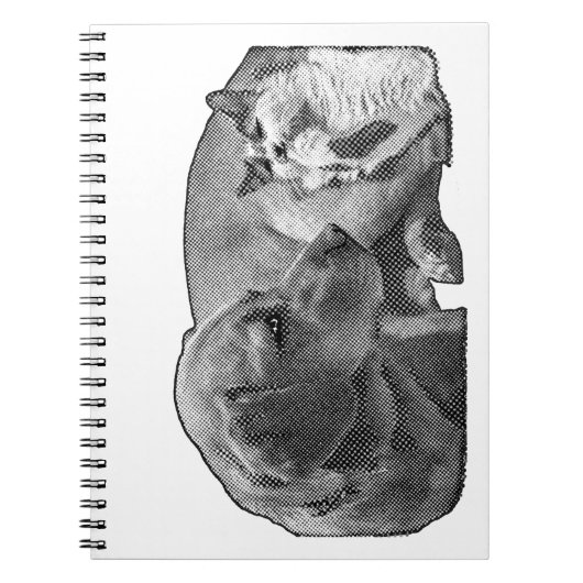 Minutes of the Peace Corner ノートブック (正面)