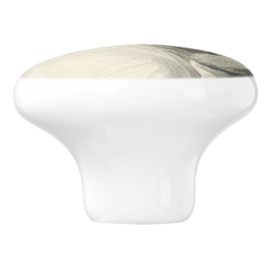 Miranda セラミックノブ (側面)