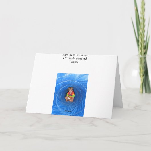 Miranda 案内状 (裏面)