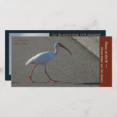 Miriam 2019カードのみ (正面/裏面)