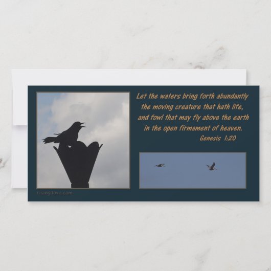 Miriam 2019カードのみ (裏面)