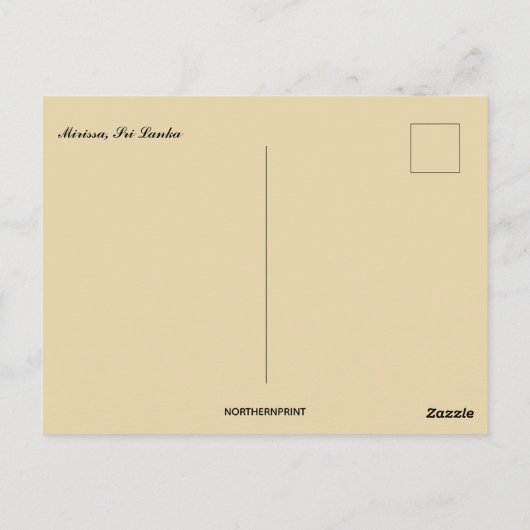 Mirissa Sri Lanka ポストカード (裏面)