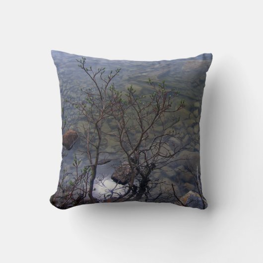 mirror湖2の枕 クッション (正面)