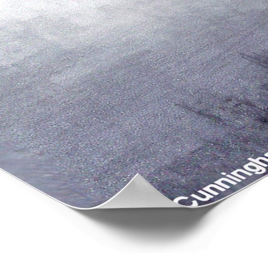 Mirror Lake ポスター (角)