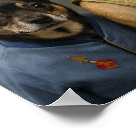 "Mirror, Mirror" ポスター (角)