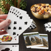 Mirror’s Last Stand トランプ (インサイチュ)