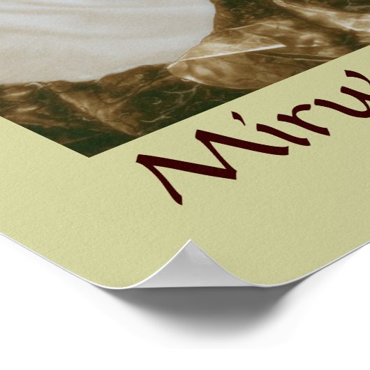 Miru's Temportion Posterプリント ポスター (角)