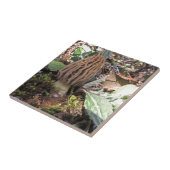 Miscellaneous - Morel/Morchella & Wood Pattern タイル (側面)