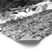 MISERY WHIPPING a SEQUOIA c. 1900 ポスター (角)