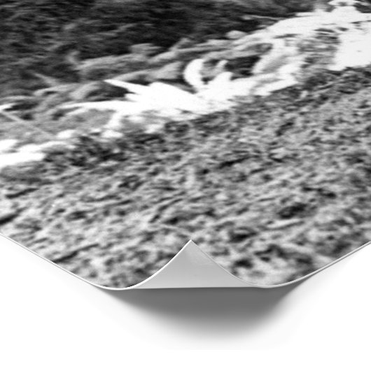 MISERY WHIPPING a SEQUOIA c. 1900 ポスター (角)