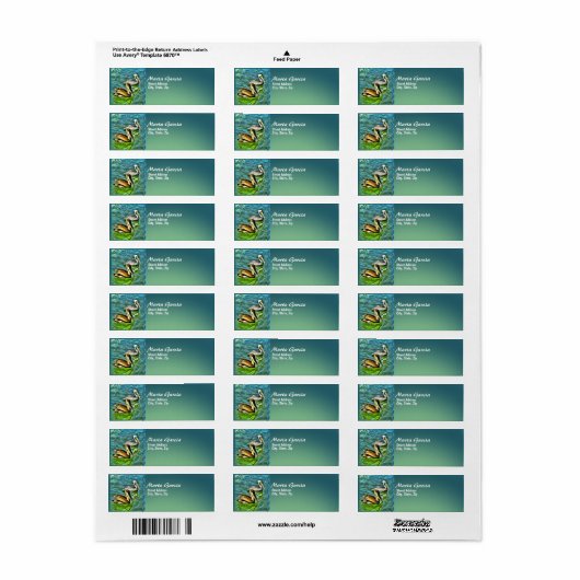 Mismaloya Pelicans 0329アドレス ラベル (フルシート)